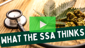 Student Loan Forgiveness: Does Medical Marijuana HELP or HURT Your Disability Case?
